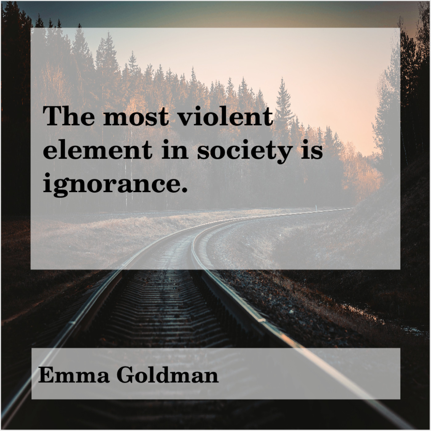 Original The Most Violent Element In Society Is Ignorance